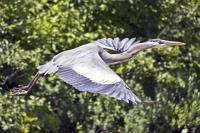 Cliquer pour agrandir