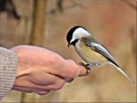 Click to view