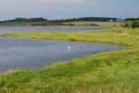 Cliquer pour agrandir