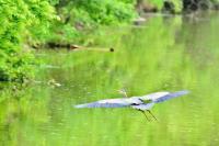 Cliquer pour agrandir