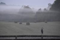 Cliquer pour agrandir