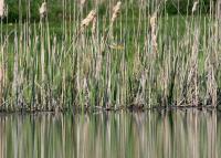 Cliquer pour agrandir