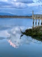 Cliquer pour agrandir