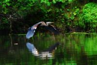 Cliquer pour agrandir