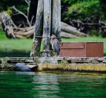 Cliquer pour agrandir