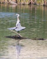 Cliquer pour agrandir