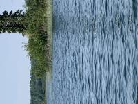 Cliquer pour agrandir