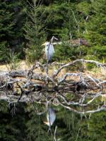 Cliquer pour agrandir