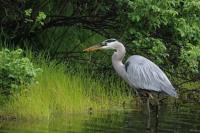 Cliquer pour agrandir