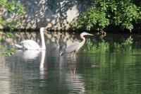 Cliquer pour agrandir