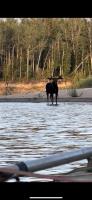 Click to view