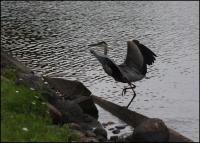 Cliquer pour agrandir