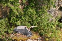 Cliquer pour agrandir