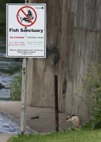 Cliquer pour agrandir