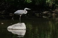 Cliquer pour agrandir