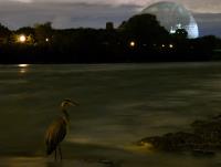 Cliquer pour agrandir