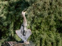 Cliquer pour agrandir