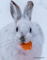 Click to view