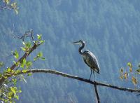 Cliquer pour agrandir