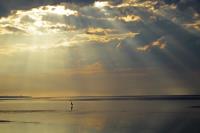 Cliquer pour agrandir