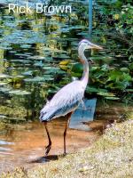 Cliquer pour agrandir