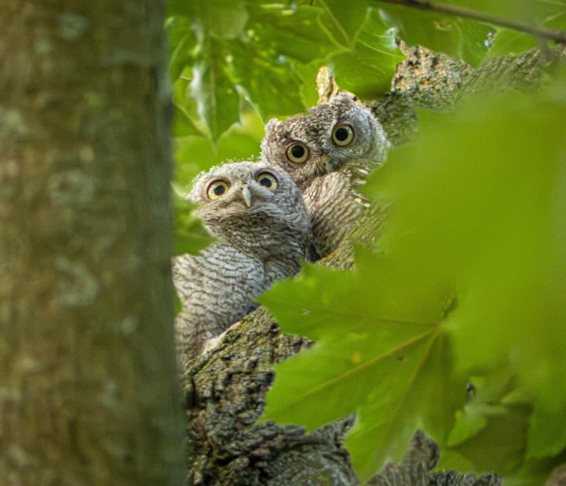 Photo: Marielle  Taylor 