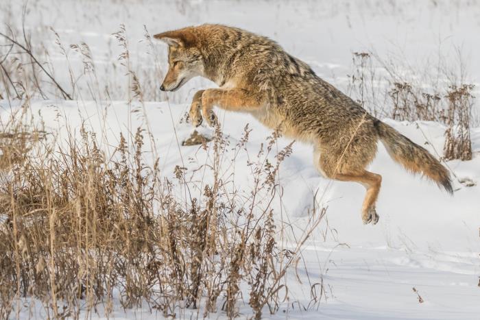 Photo: Christine Johnston 