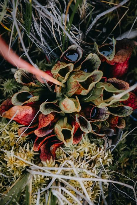 Photo: Milena Esser 