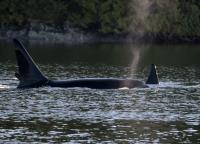 Click to view